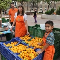 Castellón,  mercado de la naranja 2013