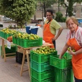 Castellón,  mercado de la naranja 2013