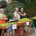 Castellón,  mercado de la naranja 2013