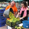 Castellón,  mercado de la naranja 2013