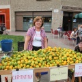 Castellón,  mercado de la naranja 2013