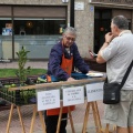 Castellón,  mercado de la naranja 2013