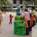 Castellón,  mercado de la naranja 2013