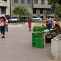 Castellón,  mercado de la naranja 2013