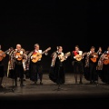 Tunas de Magisterio