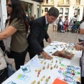 Castellón, 2013