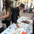 Castellón, 2013