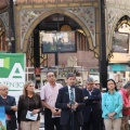 Castellón, 2013