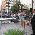 Castellón, 2013