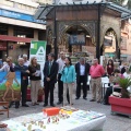 Castellón, 2013