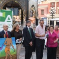 Castellón, 2013