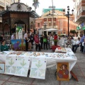 Castellón, 2013