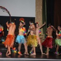 Gaiata 5, Hort dels Corders