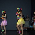 Gaiata 5, Hort dels Corders