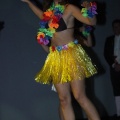 Gaiata 5, Hort dels Corders