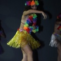 Gaiata 5, Hort dels Corders