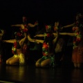 Gaiata 5, Hort dels Corders