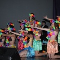 Gaiata 5, Hort dels Corders