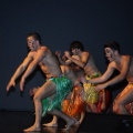 Gaiata 5, Hort dels Corders