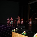 Gaiata 5, Hort dels Corders