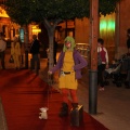 Castellón, 2013
