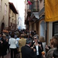 Sant Roc de la Vila