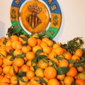 Castellón,