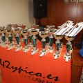 Castellón, deportes 2013