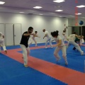 Roda de Capoeira