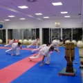 Roda de Capoeira