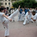 Roda de Capoeira