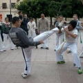 Roda de Capoeira