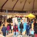 Castellón, deportes 2013