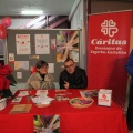 Castellón, deportes 2013