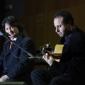 XXII Festival flamenco