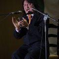 XXII Festival flamenco