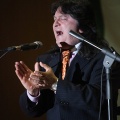 XXII Festival flamenco