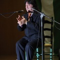 XXII Festival flamenco