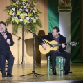 XXII Festival flamenco