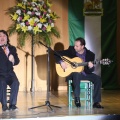 XXII Festival flamenco