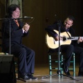 XXII Festival flamenco