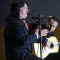 XXII Festival flamenco