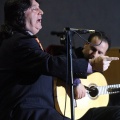 XXII Festival flamenco