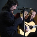 XXII Festival flamenco