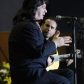 XXII Festival flamenco