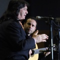 XXII Festival flamenco