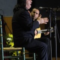 XXII Festival flamenco