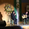 XXII Festival flamenco