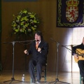 XXII Festival flamenco