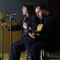 XXII Festival flamenco
